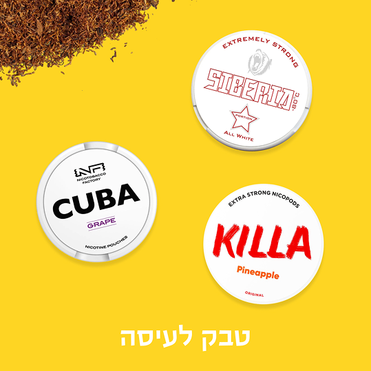 טבק לעיסה
