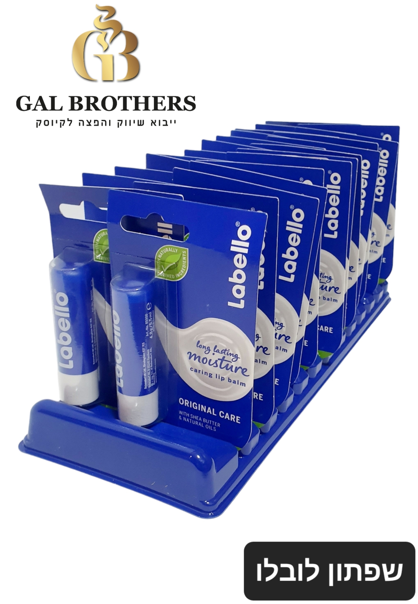 לובלו(24 יח')